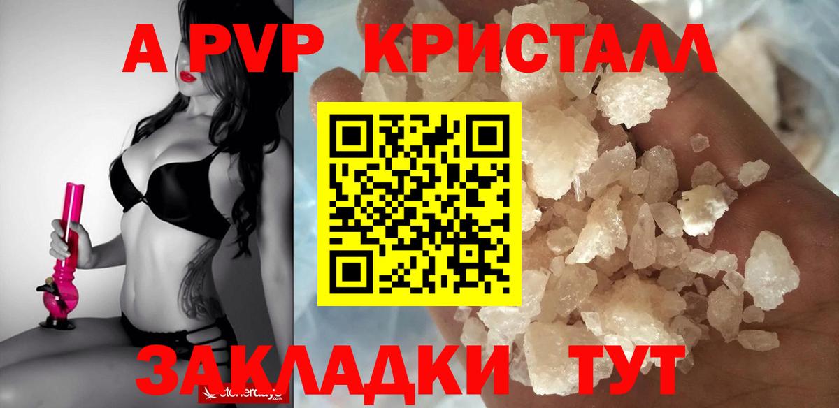 A PVP СК КРИС Вязьма