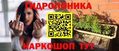 крисы Тула