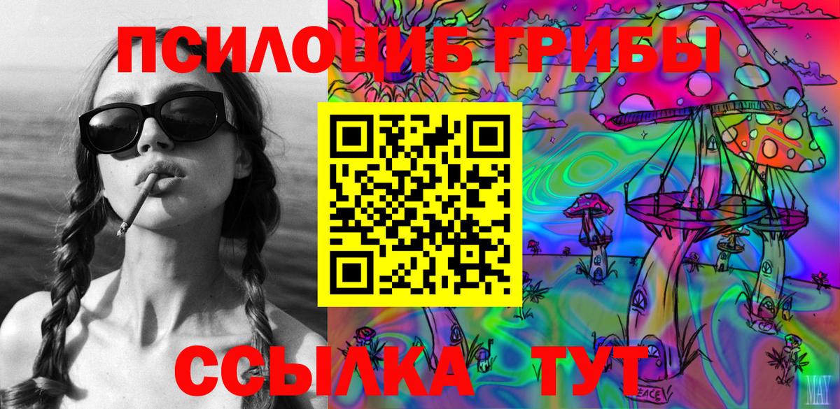 Вязьма  Псилоцибиновые грибы MAGIC MUSHROOMS  Вход с VPN 