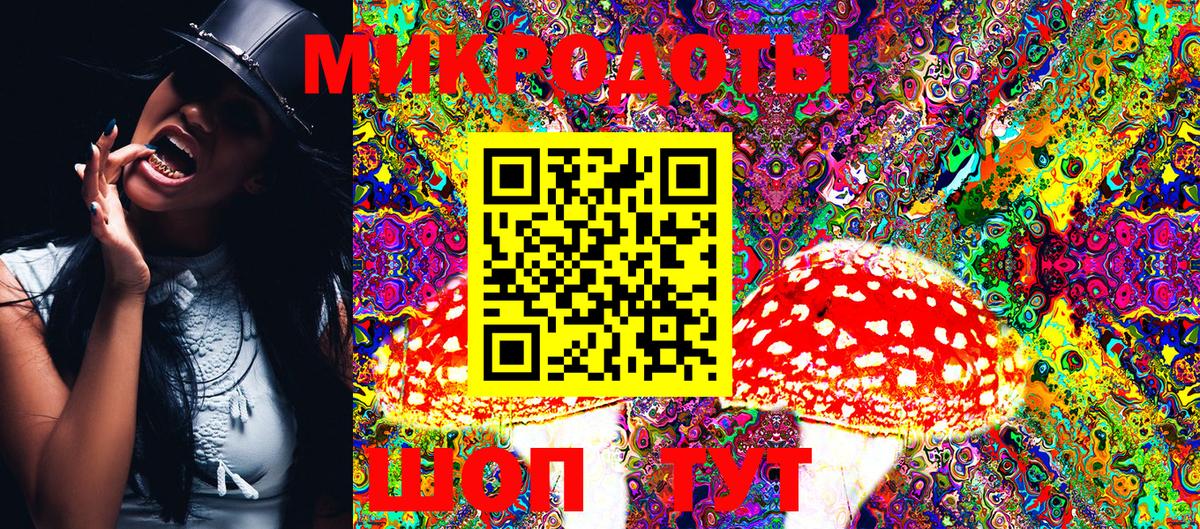 Псилоцибиновые грибы Cubensis Вязьма